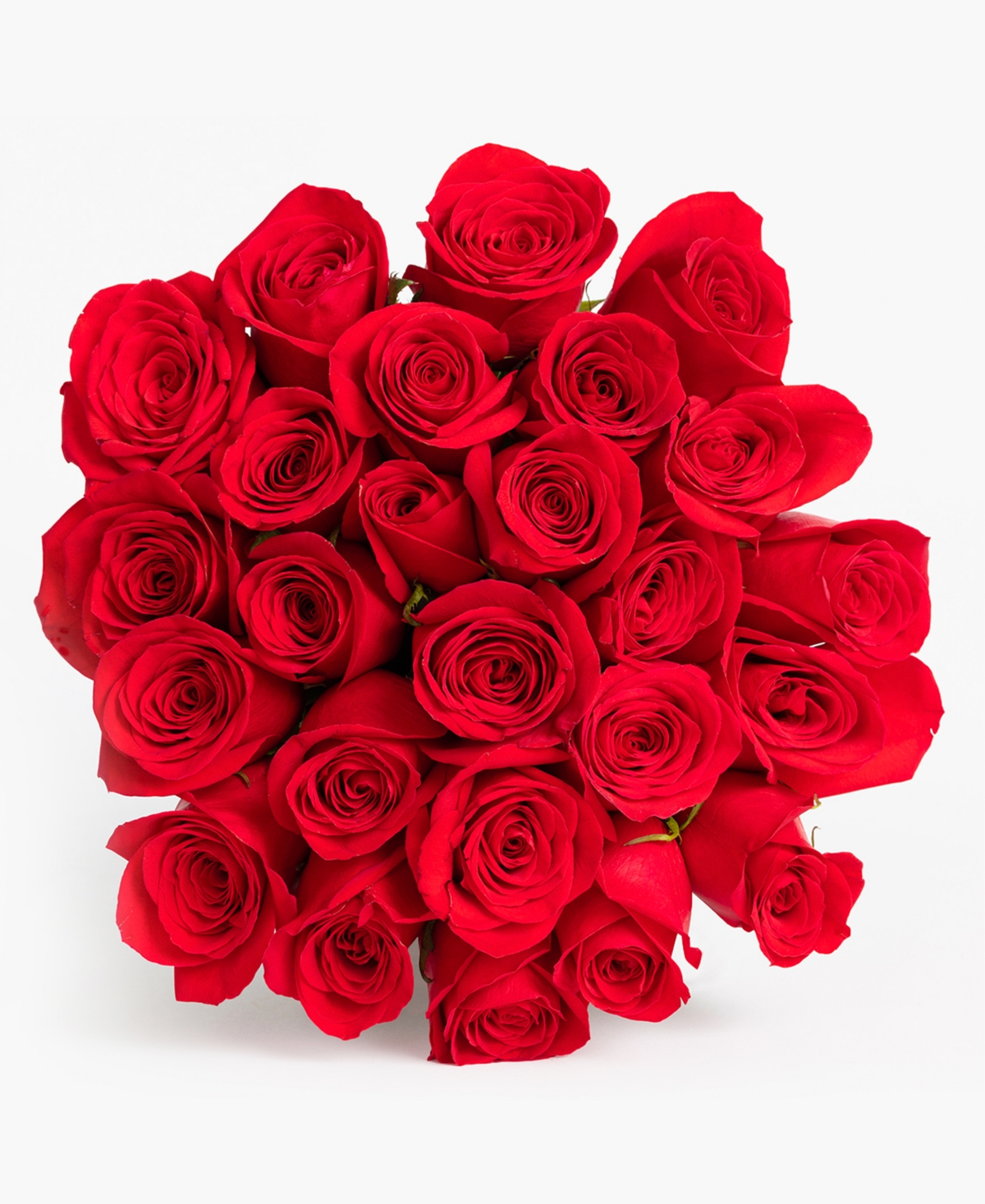 Splendid Red Roses Fresh Flower Bouquet