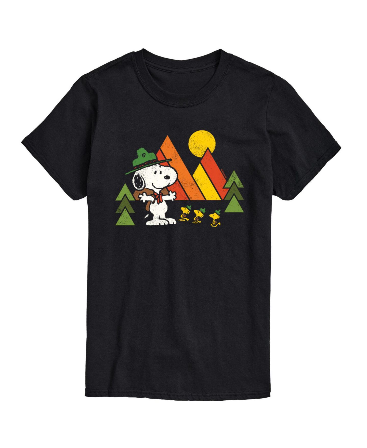 Мужская футболка AIRWAVES Peanuts Retro Camping, цвет: Чёрный — фото 1