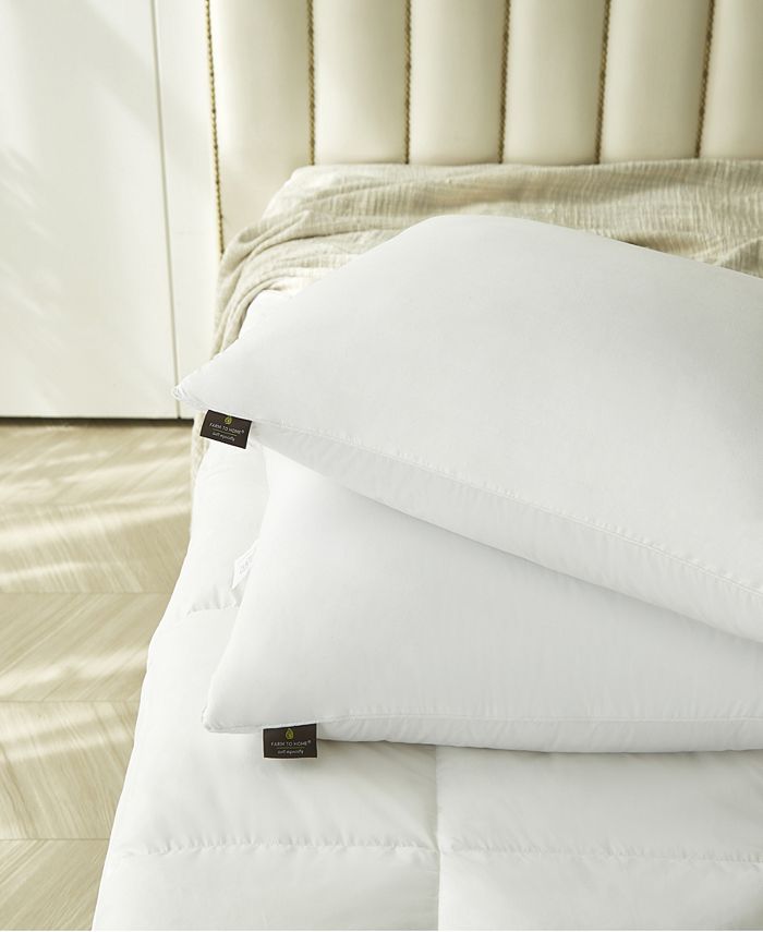 Farm to Home SoftyAround White Feather & Down Cotton 2Pack Pillow