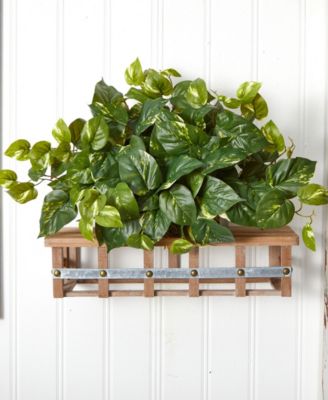 Pothos Artificial Ledge Plant 
