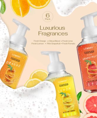 Hand Foaming Soap in Citrus Blend, Lemon, Orange, Pomelo, Lime, Pink Grapefruit, Moisturizing Hand Soap - Hand Wash Set, 6 Piece