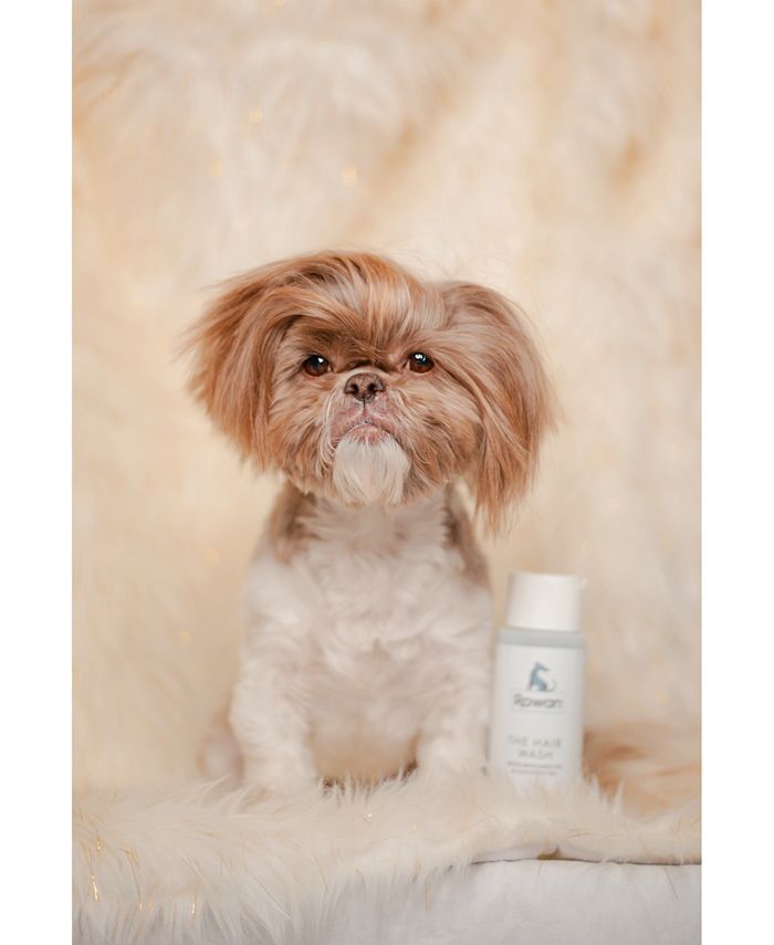 Rowan The Hair Wash Clean Ingredient Shampoo For Dogs That Don't Shed