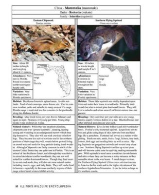 Florida Wildlife Encyclopedia - An Illustrated Guide to Birds, Fish, Mammals, Reptiles, and Amphibians by Scott Shupe