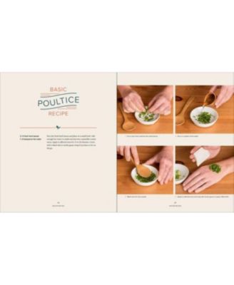 Master Recipes From the Herbal Apothecary - 375 Tinctures, Salves, Teas, Capsules, Oils, and Washes For Whole-Body Health and Wellness by Jj Pursell