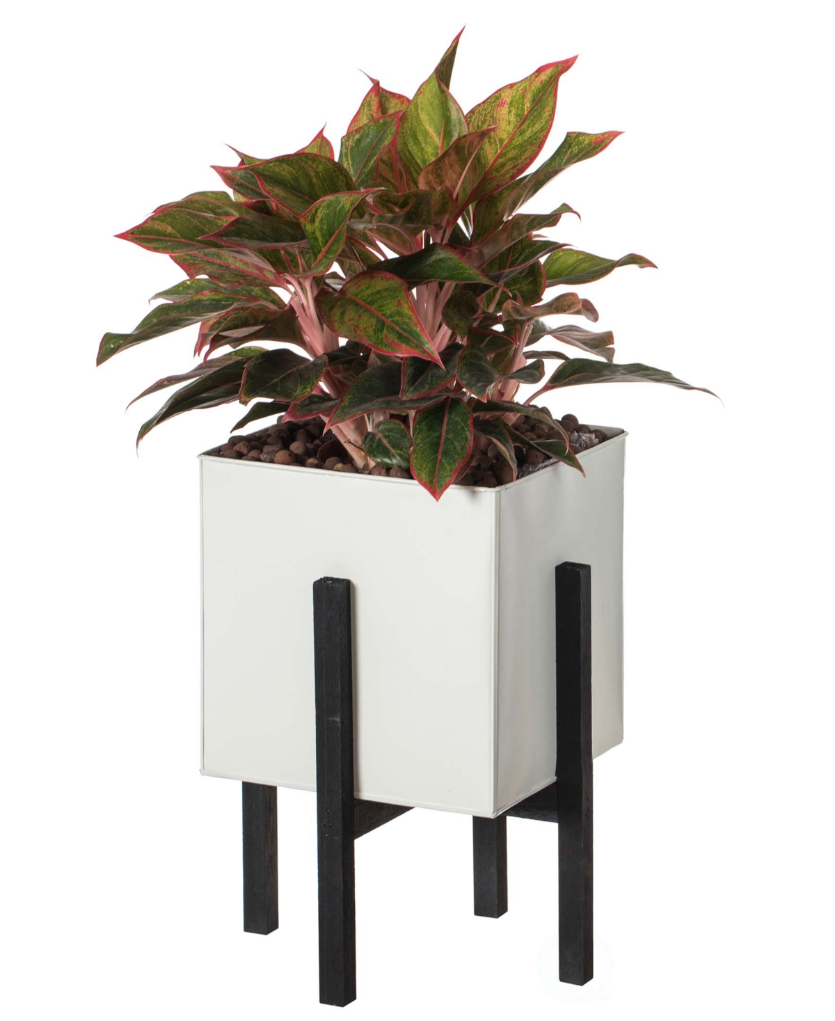 Indoor and Outdoor Planting Box, Large Planter - White