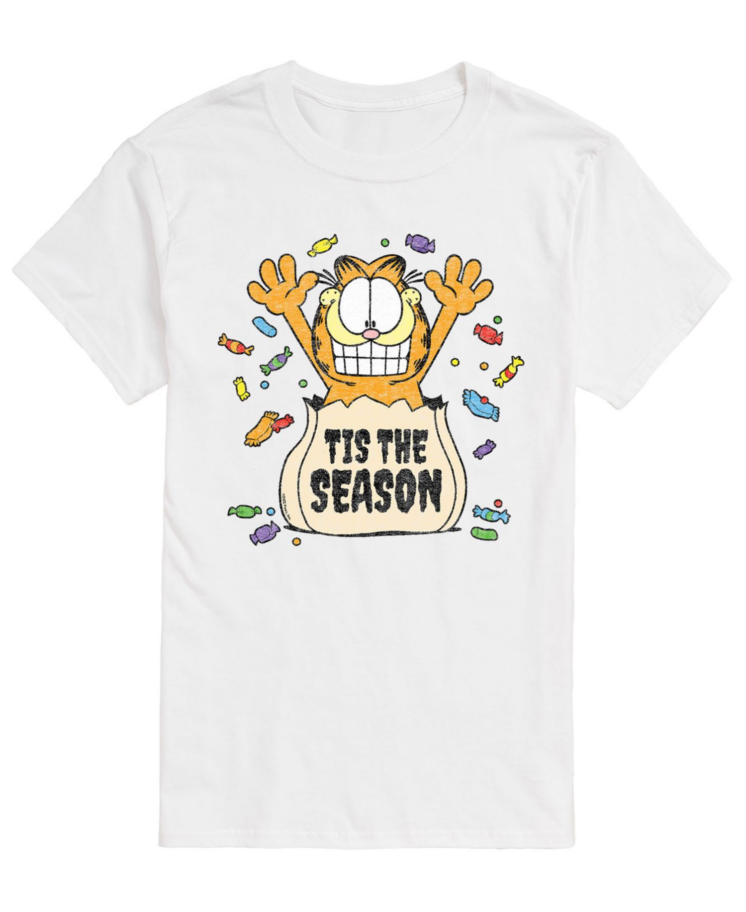 Men's Garfield Tis The Season T-shirt