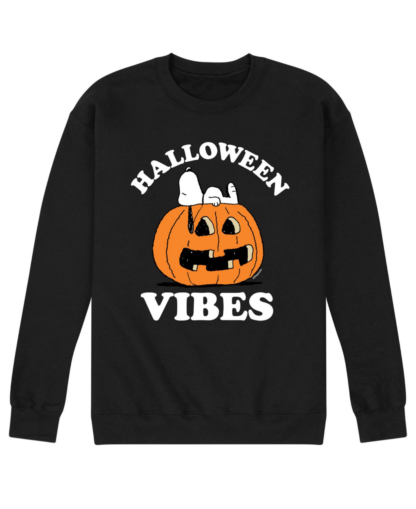 Мужская футболка AIRWAVES Peanuts Halloween Vibes Fleece, цвет: Чёрный — фото 1