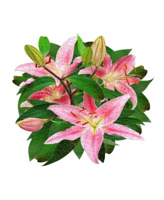 Madd Capp Games I am Lily Jigsaw Puzzle Set, 350 Piece