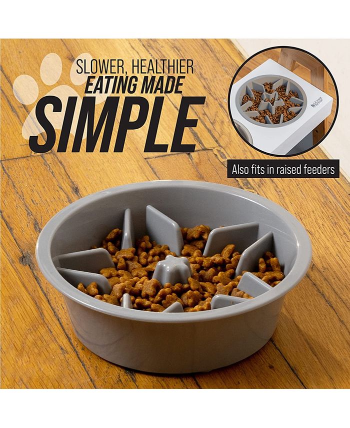 Leashboss Elevated Slow Dog Feed Bowl 2 Cup Macy's