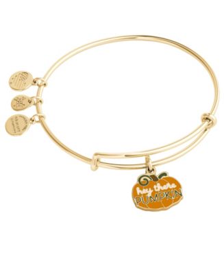 Alex and ani discount puerto rico charm