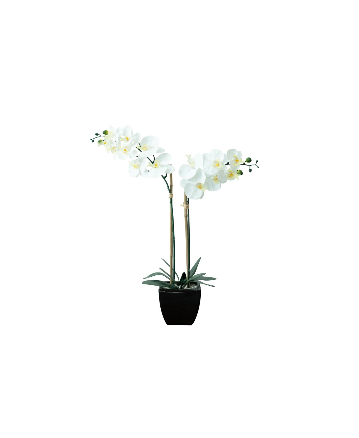 Tabletop Real Touch Artificial Orchid - Black