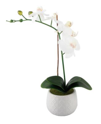 Flora Bunda Real-Touch Orchid in Wh Indian Ceramic Pot E Pack, 18