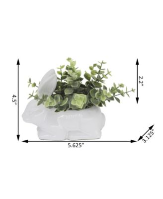 Eucalyptus in Ceramic Bunny