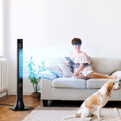 (note: anion function have been delete