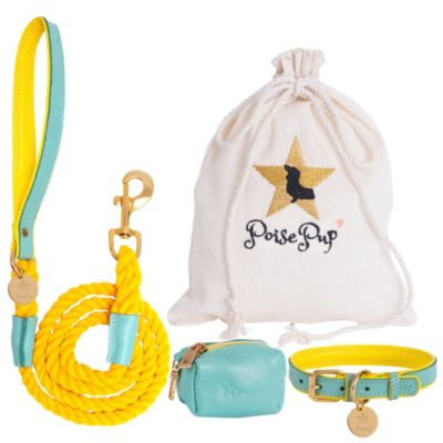 Pet Dog 5ft Long Leash - Sunshine Babe