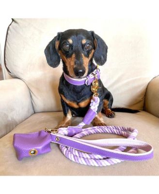 Pet Dog Collar - Lavish Lavender