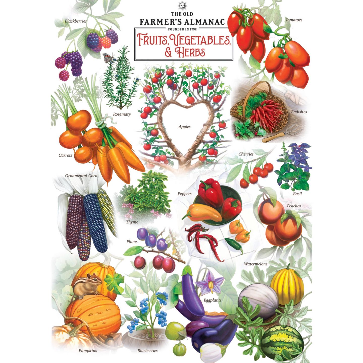 Детская игрушка MasterPieces Puzzles Farmer's Almanac - Fruits, Vegetables, & Herbs 1000 Piece Jigsaw Puzzle, цвет: Разноцветный — фото 2