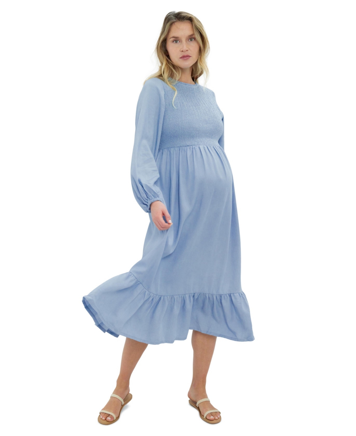 Ingrid + Isabel Women's Maternity Meadow Chambray Dress