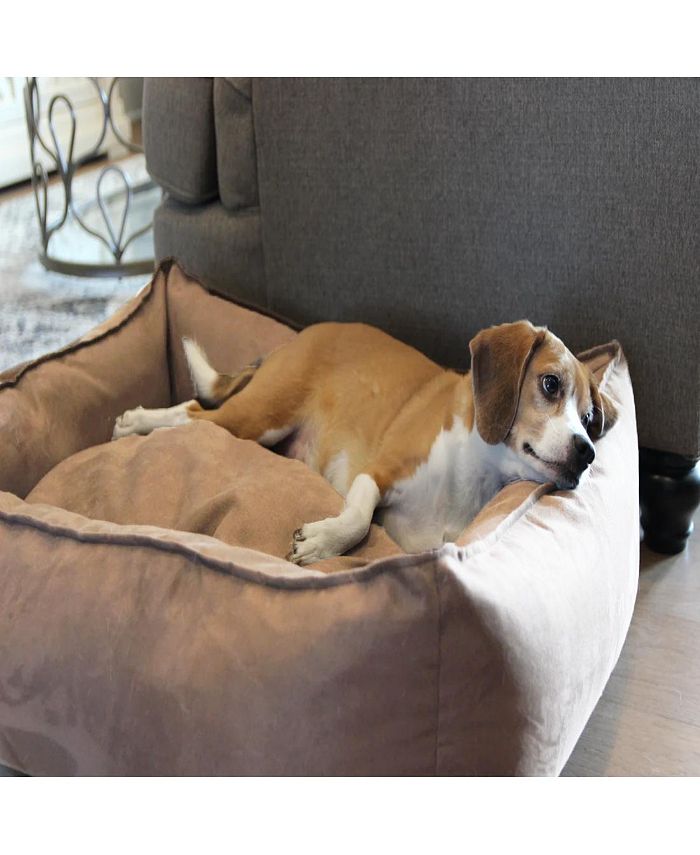 BuddyRest Oasis Plush Pillow Bolstered Medium Dog Bed & Reviews Dog