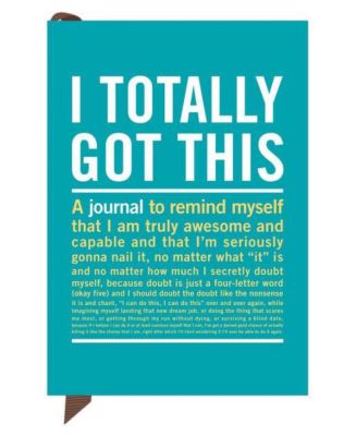 I Totally Got This Mini Inner-Truth Journal by Knock Knock