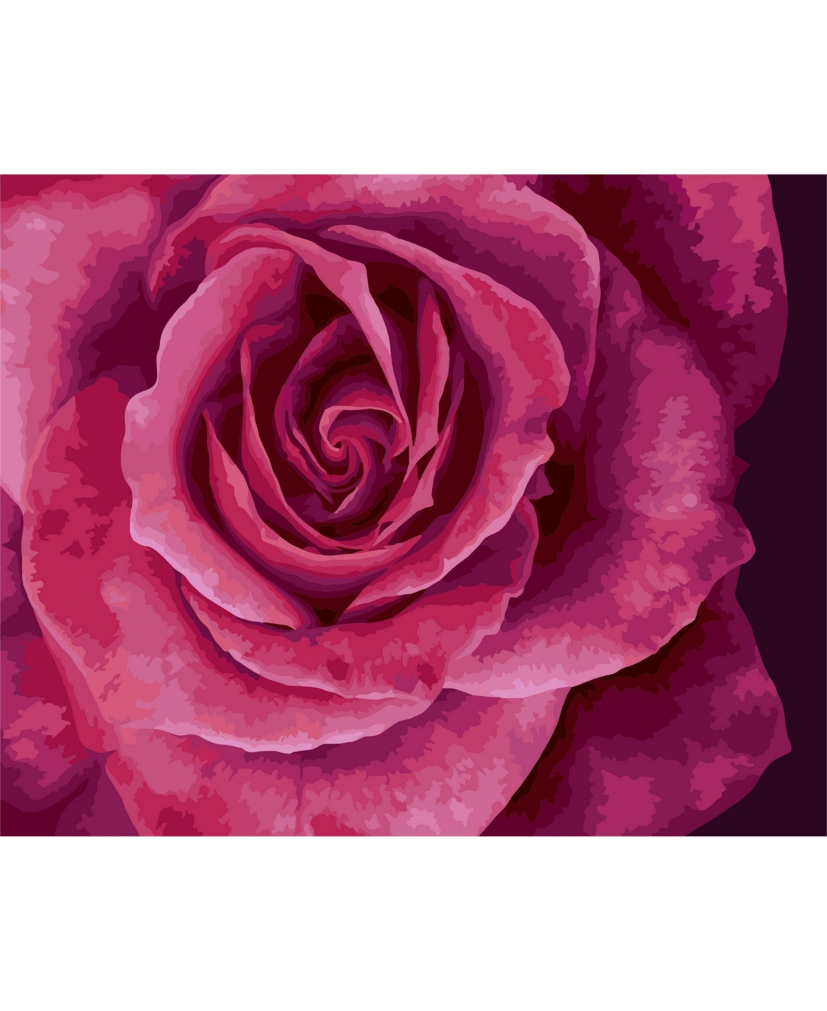 Painting by Numbers Kit Crafting Spark Tender Rose B114 19.69 x 15.75 in