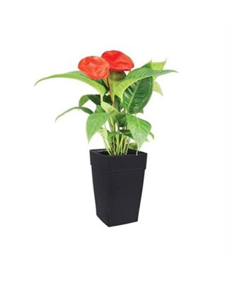 Plastic Harmony SelfWatering Tall Planter 12 x 18