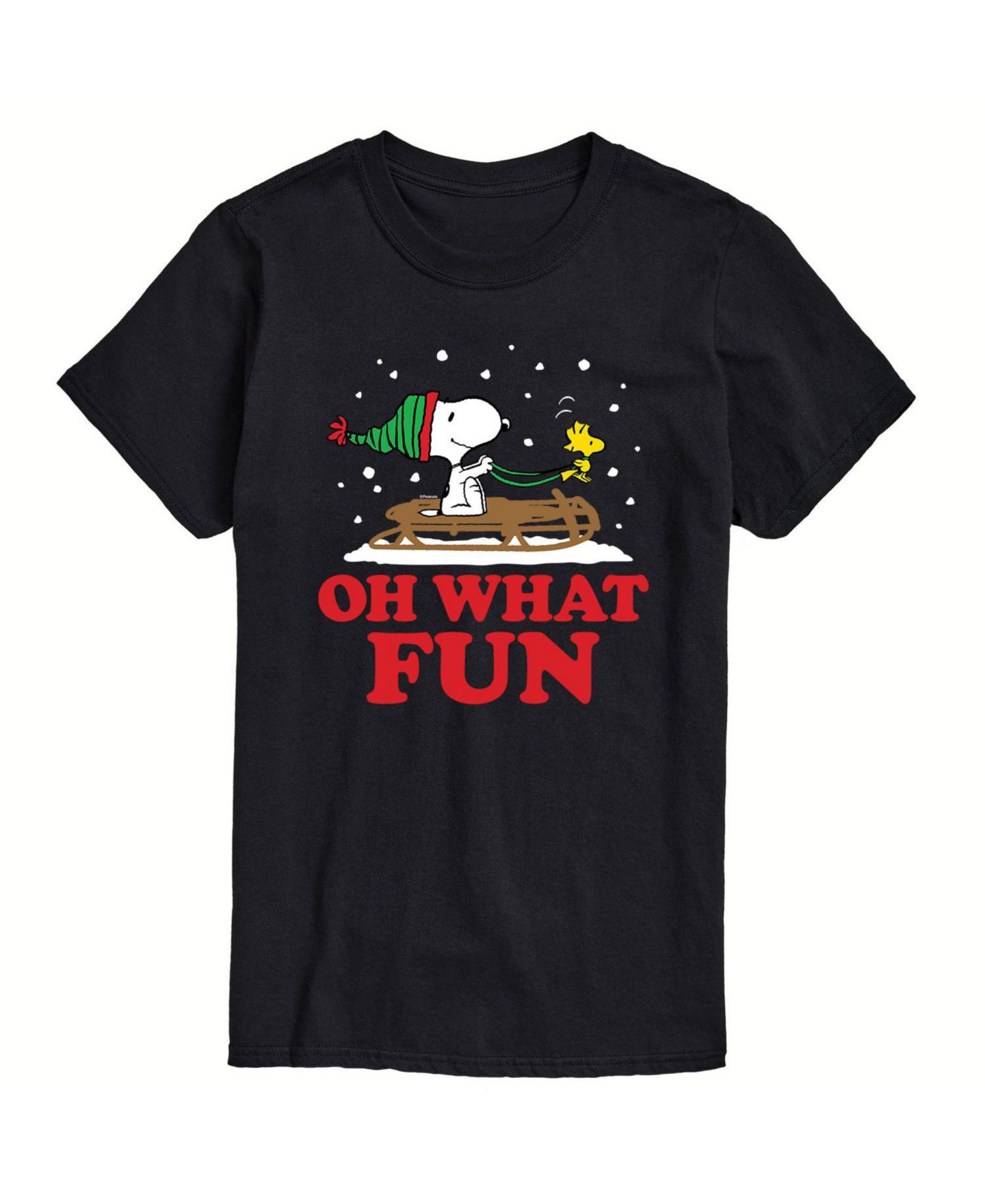Мужская футболка AIRWAVES Peanuts Oh What Fun Short Sleeve, цвет: Чёрный — фото 1