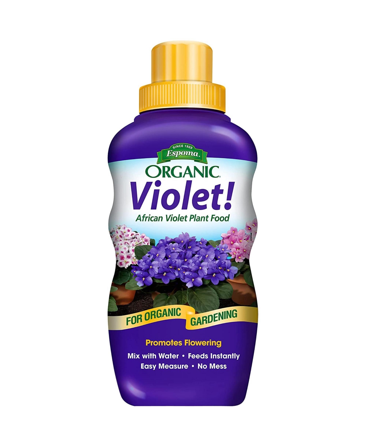 Organic Violet African Violet Food Liquid Concentrate, 8 fl oz - Brown