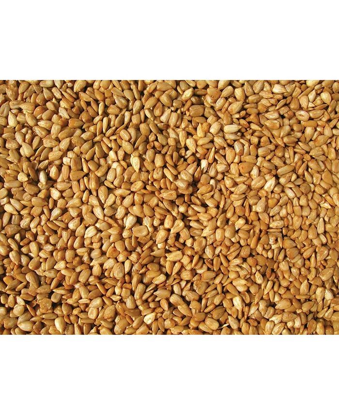 Cole's Coles HM20 Hot Meats Bird Seed 20Pound Macy's