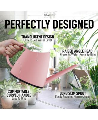 Small Watering Can with Long Slim Spout for Indoor Plants