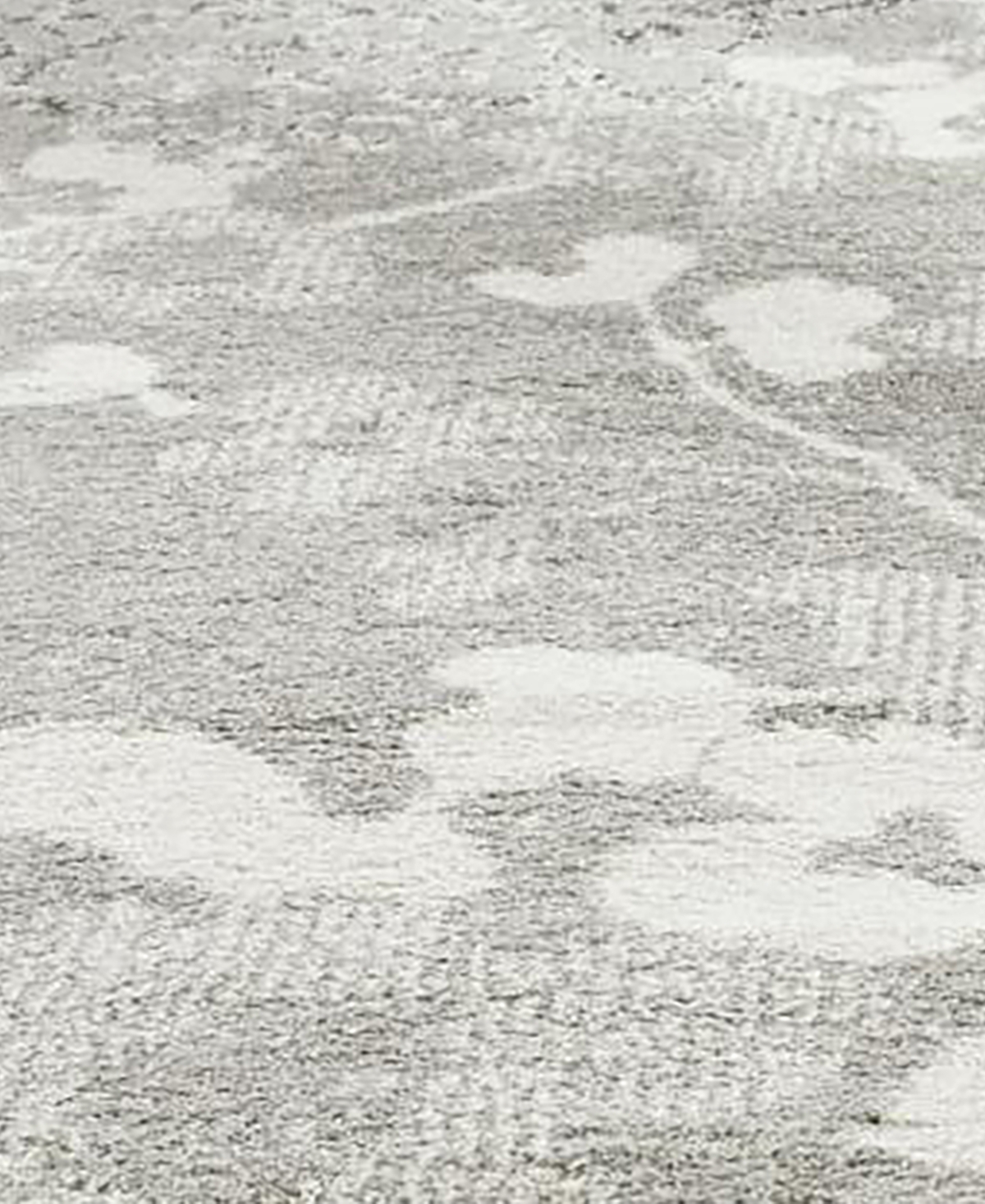 Safavieh Adirondack 114and Ivory Area Rug - Silver