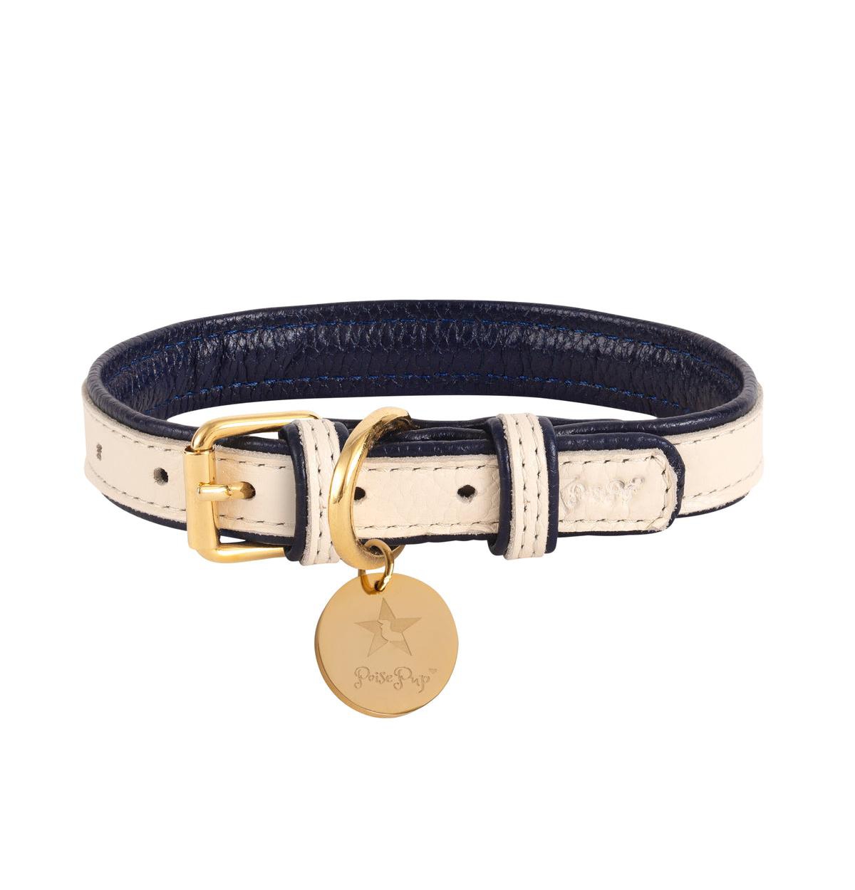 PoisePup Pet Dog Collar -- Hot marine