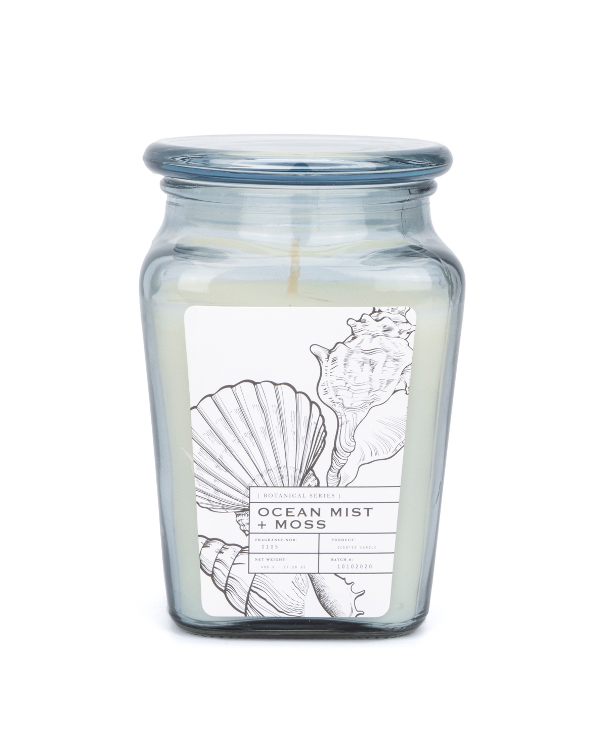 Hybrid & Company Ocean Mist Moss Scented Jar Candle In Clear