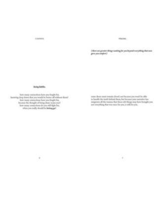 Velvet Dragonflies by Billy Chapata