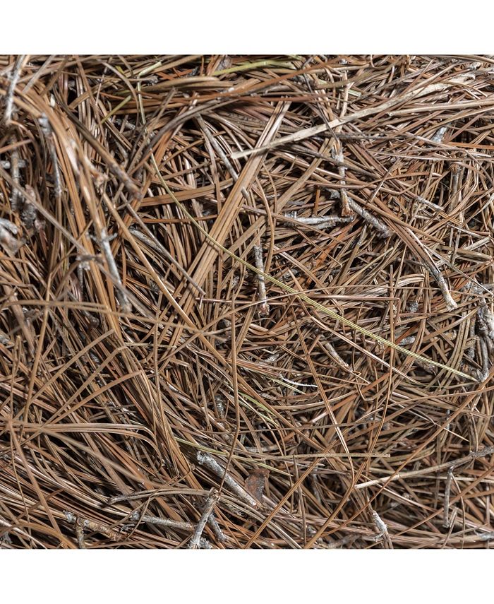 Garden Elements Long Leaf Pine Straw Bale, 12.5 Pounds - Macy's