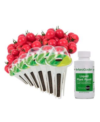 Macy's - Mighty Mini Cherry Tomato 6-Pod Seed Kit