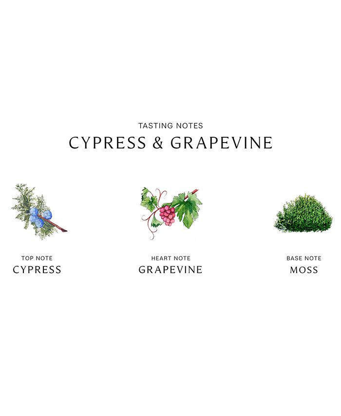 Jo malone london top cypress & grapevine