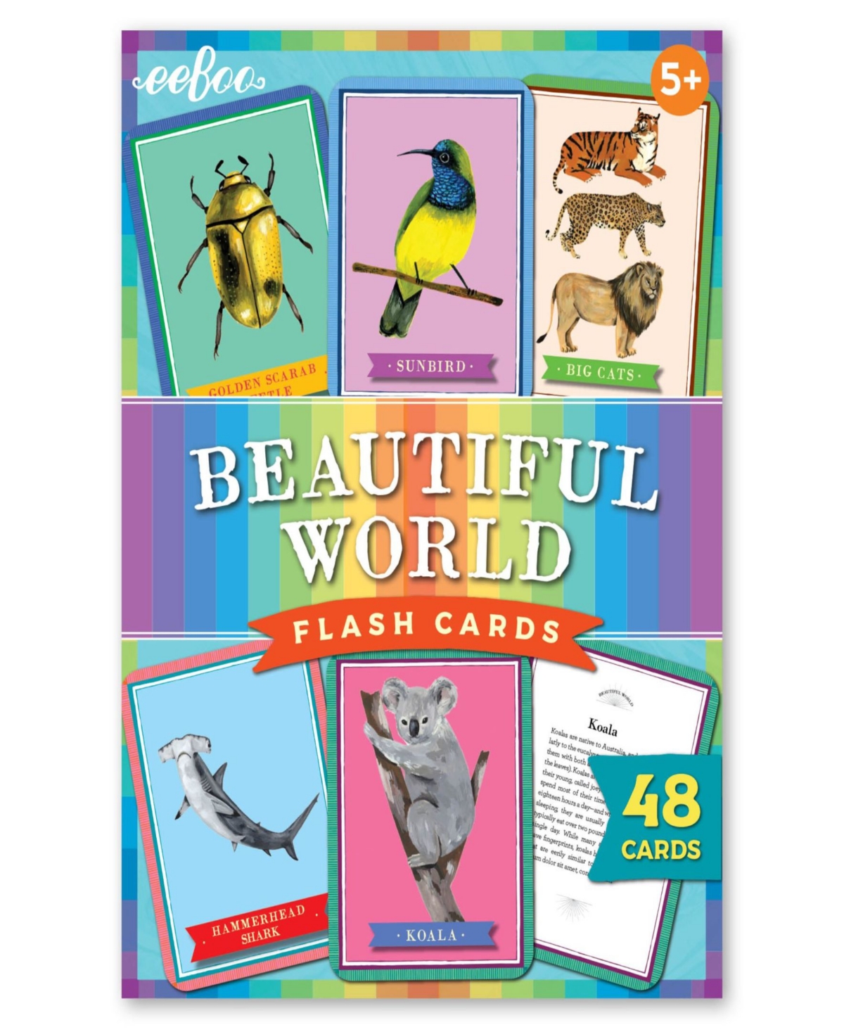 Shop Eeboo Beautiful World Educational Flash Cards 48 Piece Set In Multi