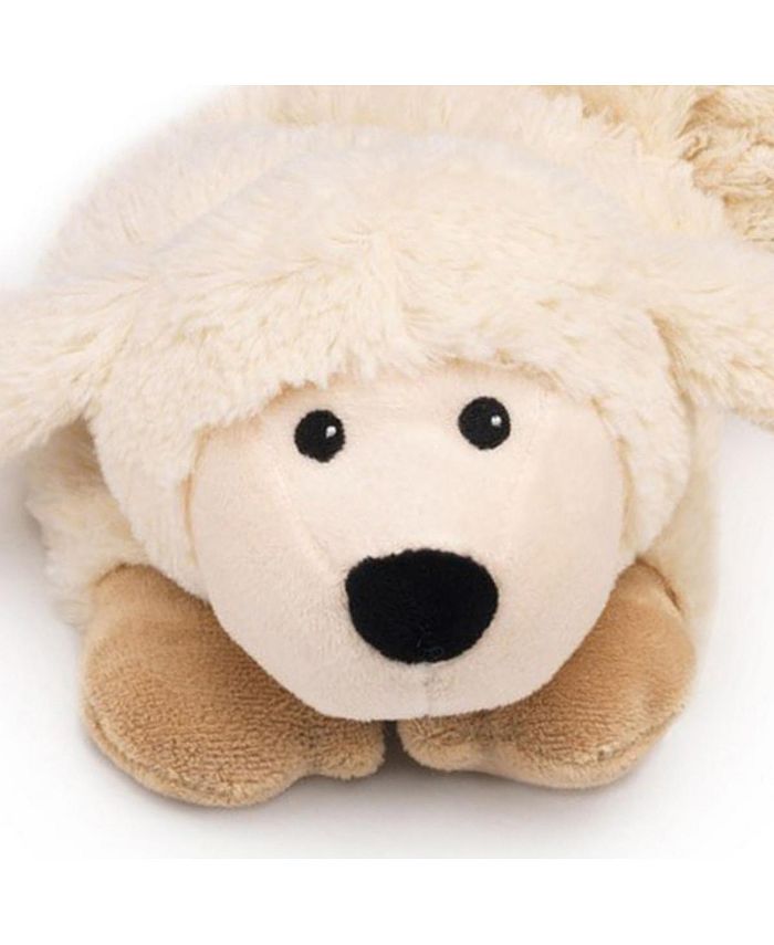 intelex sheep