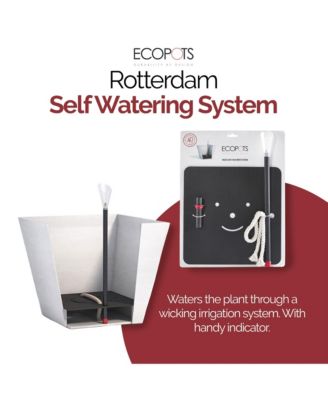Rotterdam Square Indoor Plant Self Watering System, For Rotterdam 15.75 Planter"