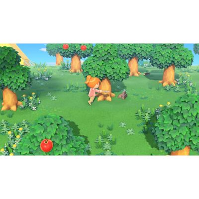 Animal Crossing: New Horizon - Switch (Region Free)
