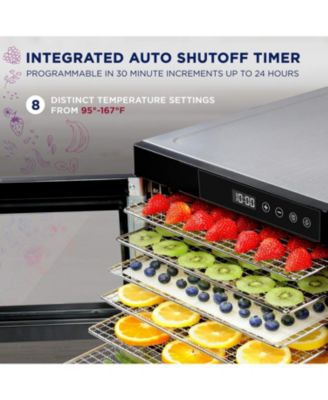 10 Stainless Steel Tray Food Dehydrator for Snacks & Jerky