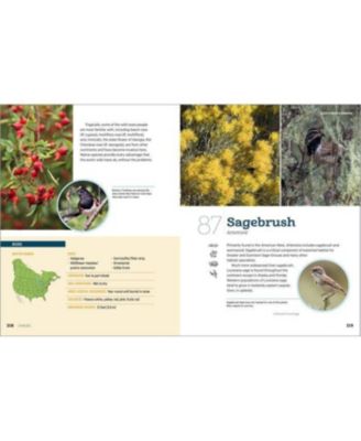 100 Plants to Feed the Birds- Turn Your Home Garden into a Healthy Bird Habitat by Laura Erickson