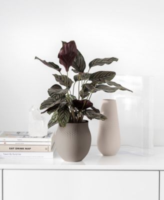 Manufacture Collier Tall Vase Carre