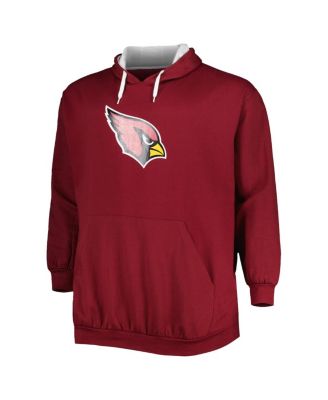 Men's Cardinal Arizona Cardinals Big and Tall Logo Pullover Hoodie