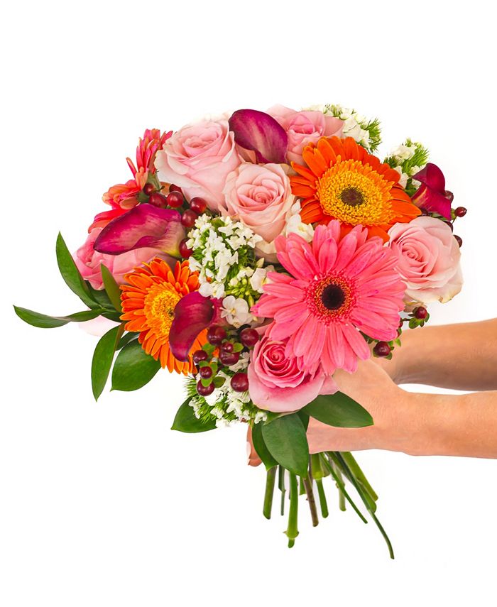 BloomsyBox Pink Blush Fresh Flower Bouquet Macy's