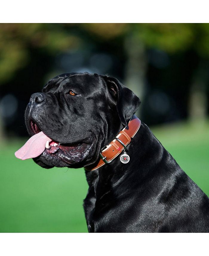 Waudog Soft genuine leather dog collar with QR passport Macy's