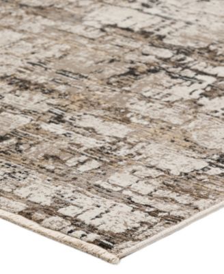 Denizi DZ3 5'3" x 7'8" Area Rug