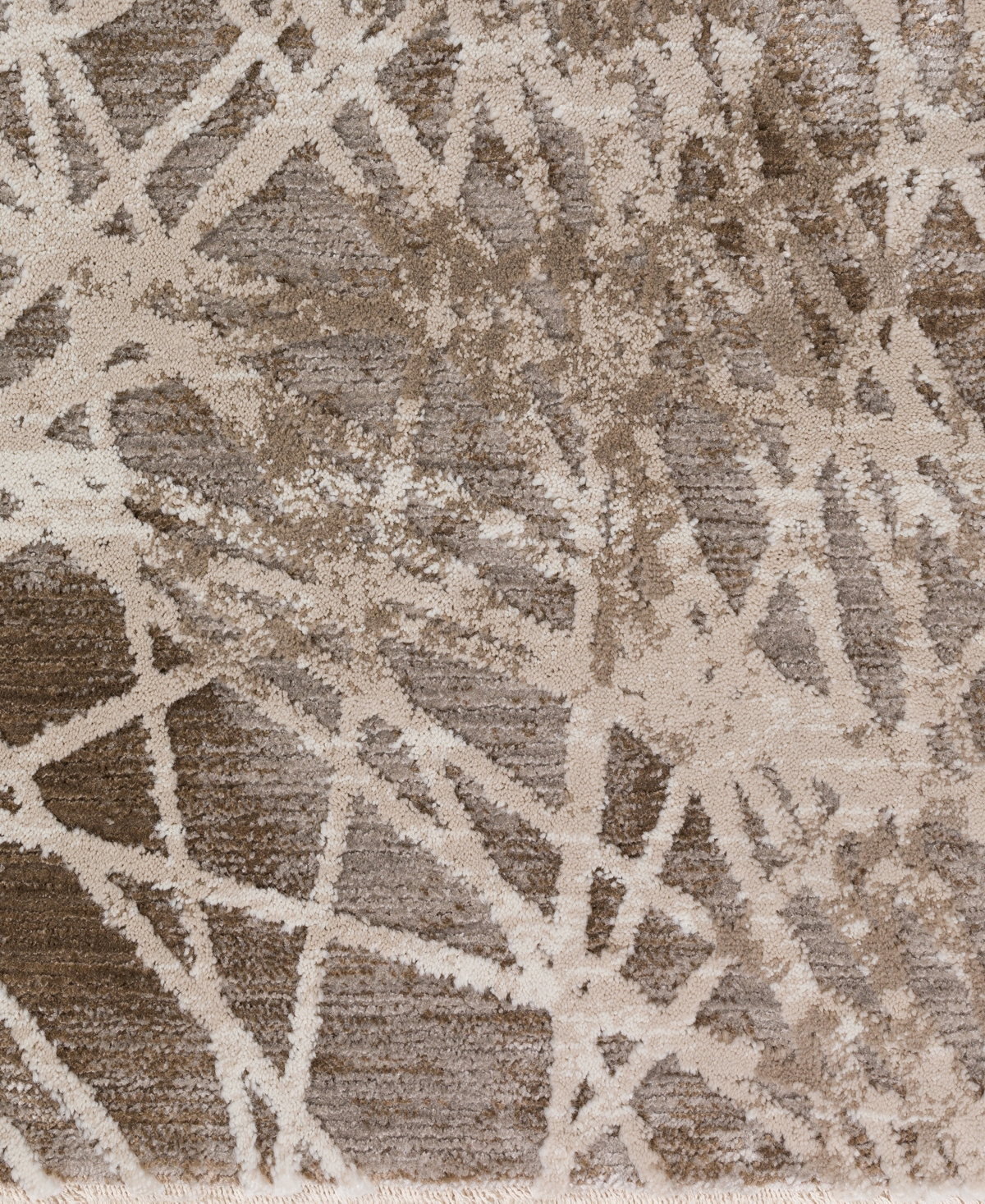 Dalyn Denizi Dz4 7'10" X 10' Area Rug In Brown