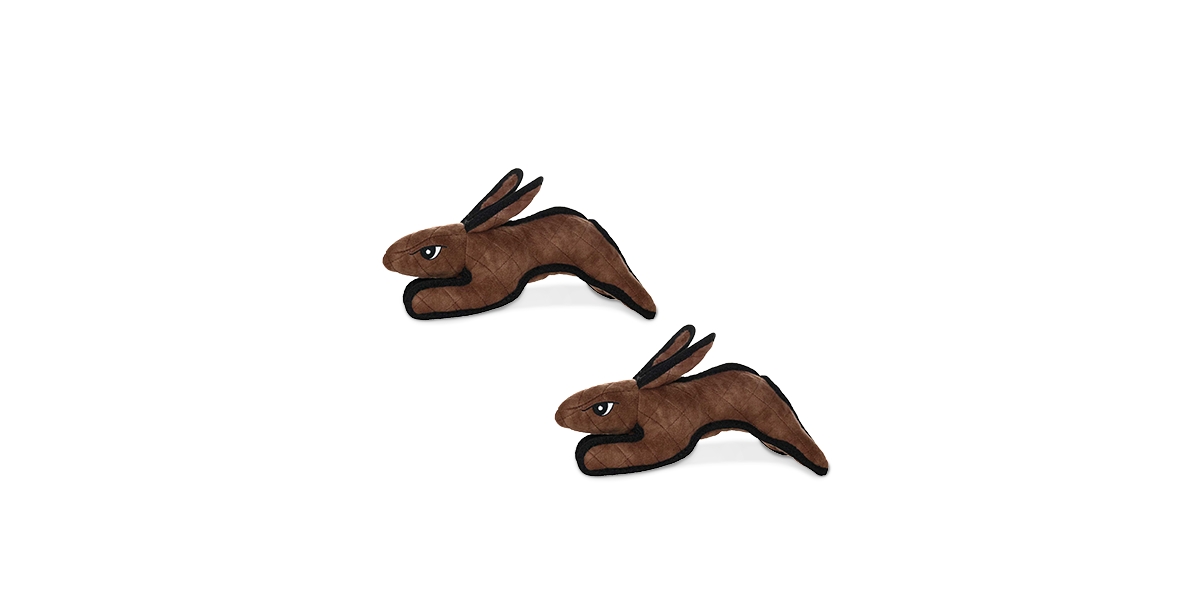 Barnyard Rabbit Brown, 2-Pack Dog Toys - Medium Brown